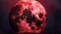 МЕТЕОВЕСТИ - прогноз погоды и новости о погоде от ФОБОС