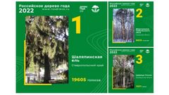 МЕТЕОВЕСТИ - прогноз погоды и новости о погоде от ФОБОС