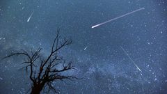 МЕТЕОВЕСТИ - прогноз погоды и новости о погоде от ФОБОС