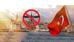 МЕТЕОВЕСТИ - прогноз погоды и новости о погоде от ФОБОС