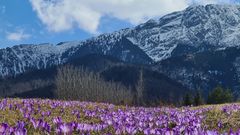 Весна в горах