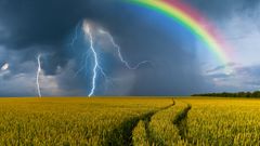 МЕТЕОВЕСТИ - прогноз погоды и новости о погоде от ФОБОС