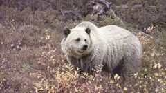 МЕТЕОВЕСТИ - прогноз погоды и новости о погоде от ФОБОС