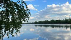 Лето в Подмосковье