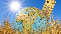 МЕТЕОВЕСТИ - прогноз погоды и новости о погоде от ФОБОС