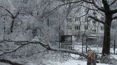 МЕТЕОВЕСТИ - прогноз погоды и новости о погоде от ФОБОС