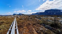 Вечная мерзлота