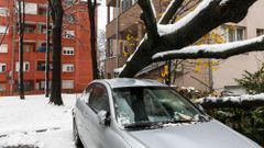 МЕТЕОВЕСТИ - прогноз погоды и новости о погоде от ФОБОС