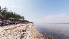 Отлив на Балтике