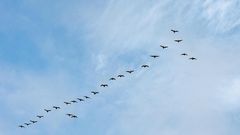 МЕТЕОВЕСТИ - прогноз погоды и новости о погоде от ФОБОС