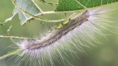 МЕТЕОВЕСТИ - прогноз погоды и новости о погоде от ФОБОС