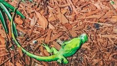 МЕТЕОВЕСТИ - прогноз погоды и новости о погоде от ФОБОС