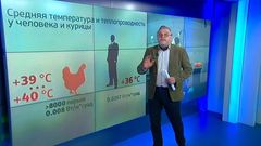 МЕТЕОВЕСТИ - прогноз погоды и новости о погоде от ФОБОС