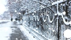 Тема выходные 