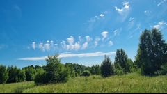 Облака-букеты