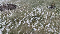 Малоснежье