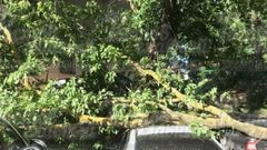 МЕТЕОВЕСТИ - прогноз погоды и новости о погоде от ФОБОС