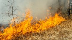 МЕТЕОВЕСТИ - прогноз погоды и новости о погоде от ФОБОС