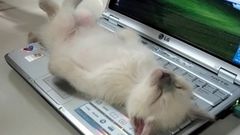 МЕТЕОВЕСТИ - прогноз погоды и новости о погоде от ФОБОС