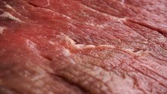 МЕТЕОВЕСТИ - прогноз погоды и новости о погоде от ФОБОС