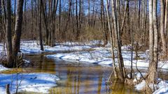 Последний снег