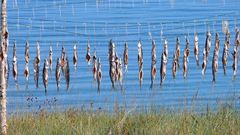 МЕТЕОВЕСТИ - прогноз погоды и новости о погоде от ФОБОС