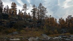 МЕТЕОВЕСТИ - прогноз погоды и новости о погоде от ФОБОС