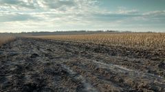 МЕТЕОВЕСТИ - прогноз погоды и новости о погоде от ФОБОС