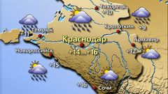 Краснодар 8.01.26