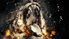 МЕТЕОВЕСТИ - прогноз погоды и новости о погоде от ФОБОС