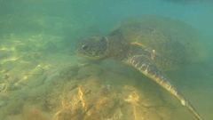 МЕТЕОВЕСТИ - прогноз погоды и новости о погоде от ФОБОС