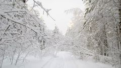 Дорога