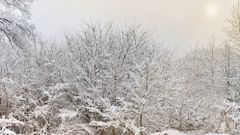 МЕТЕОВЕСТИ - прогноз погоды и новости о погоде от ФОБОС