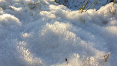 Трава у дома...