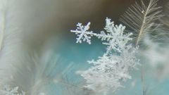 Снежинки белые...