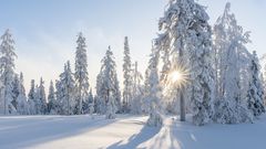 МЕТЕОВЕСТИ - прогноз погоды и новости о погоде от ФОБОС