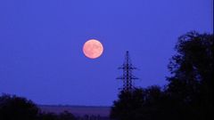 МЕТЕОВЕСТИ - прогноз погоды и новости о погоде от ФОБОС