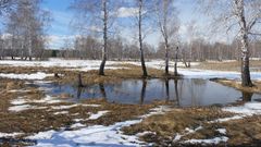 Последний снег