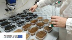 МЕТЕОВЕСТИ - прогноз погоды и новости о погоде от ФОБОС