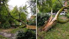 МЕТЕОВЕСТИ - прогноз погоды и новости о погоде от ФОБОС