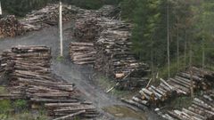 МЕТЕОВЕСТИ - прогноз погоды и новости о погоде от ФОБОС