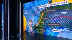 Вести 8.06.26