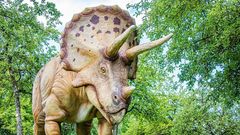 МЕТЕОВЕСТИ - прогноз погоды и новости о погоде от ФОБОС