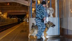 МЕТЕОВЕСТИ - прогноз погоды и новости о погоде от ФОБОС
