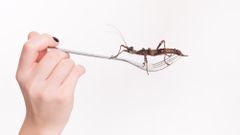 МЕТЕОВЕСТИ - прогноз погоды и новости о погоде от ФОБОС