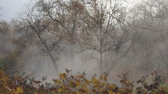Осень