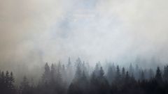 МЕТЕОВЕСТИ - прогноз погоды и новости о погоде от ФОБОС