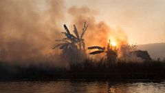 МЕТЕОВЕСТИ - прогноз погоды и новости о погоде от ФОБОС