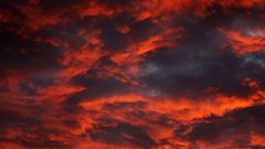 МЕТЕОВЕСТИ - прогноз погоды и новости о погоде от ФОБОС