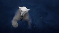 МЕТЕОВЕСТИ - прогноз погоды и новости о погоде от ФОБОС